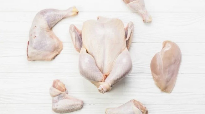 Perbedaan ayam kampung dan broiler