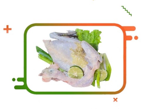 harga daging ayam kampung