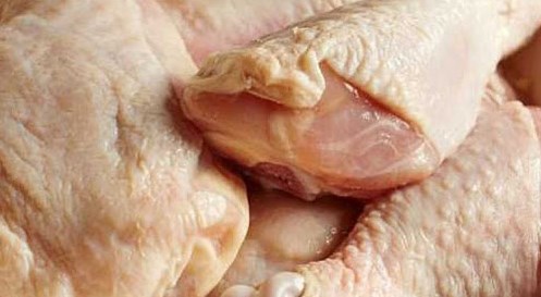 pemotongan ayam broiler