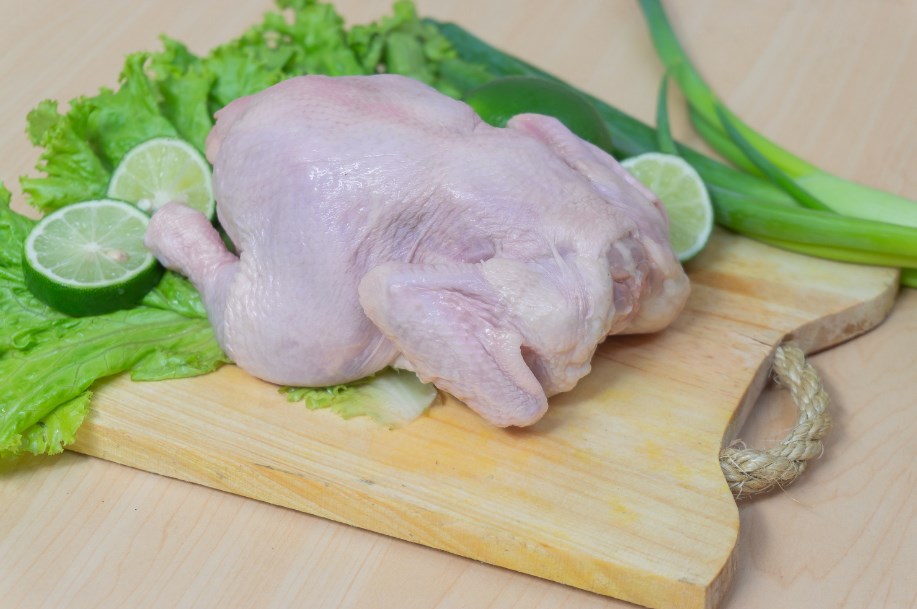 daging ayam