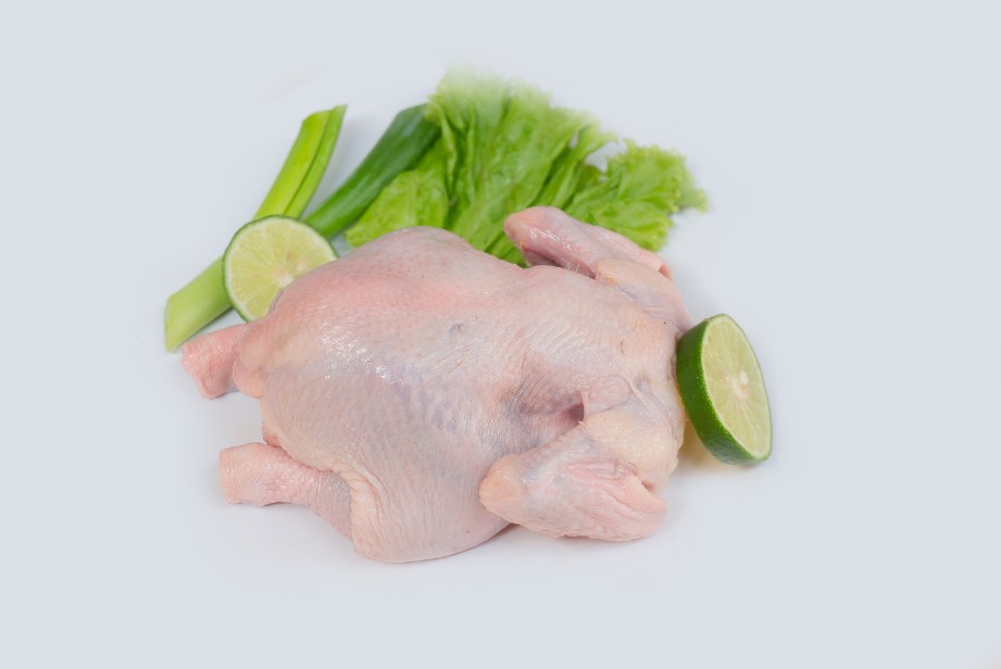 daging ayam