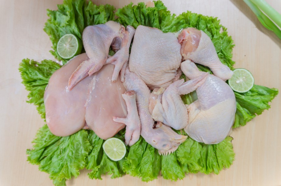 daging ayam