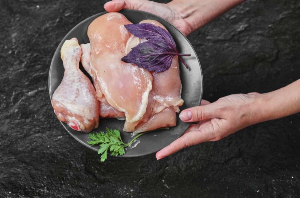 supplier ayam bandung