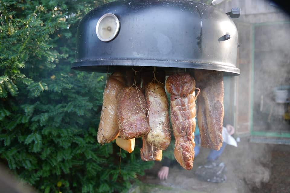 peternakan ayam broiler