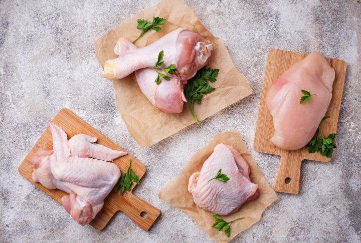 jual daging ayam