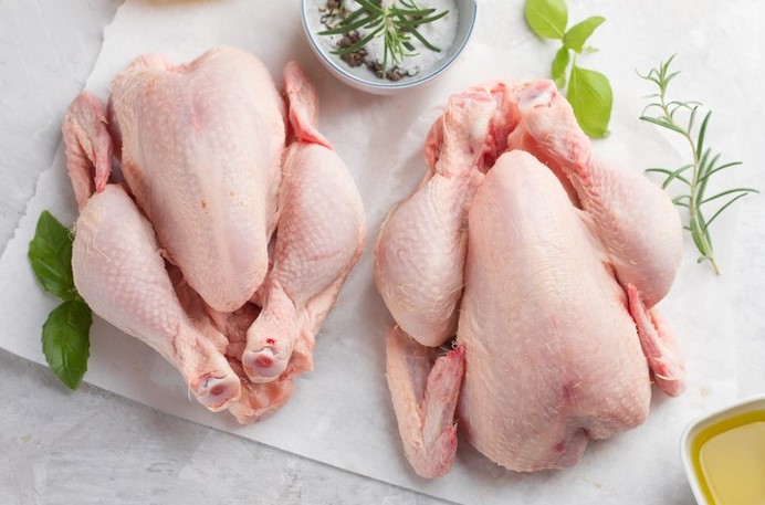 ayam potong segar