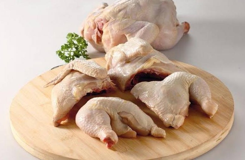 supplier ayam